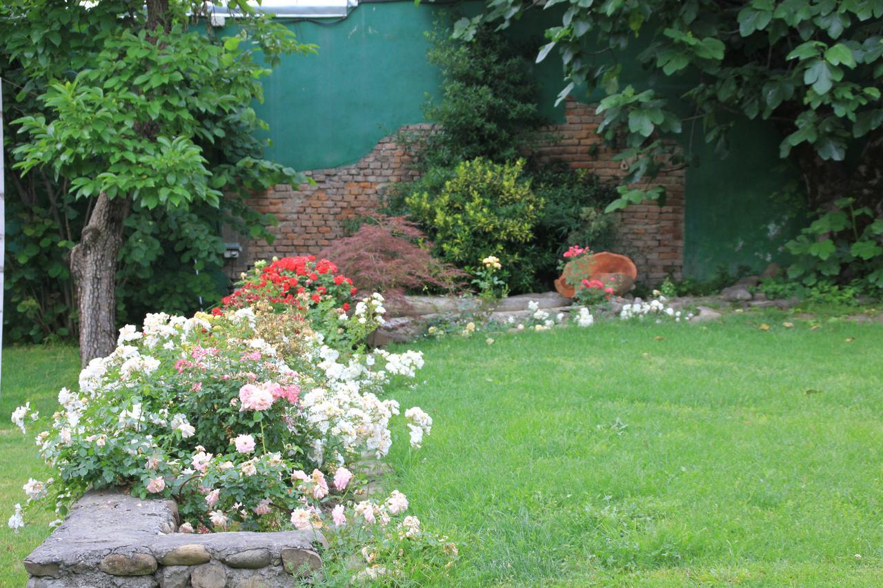 Villa Kursa Sighnaghi Zewnętrze zdjęcie